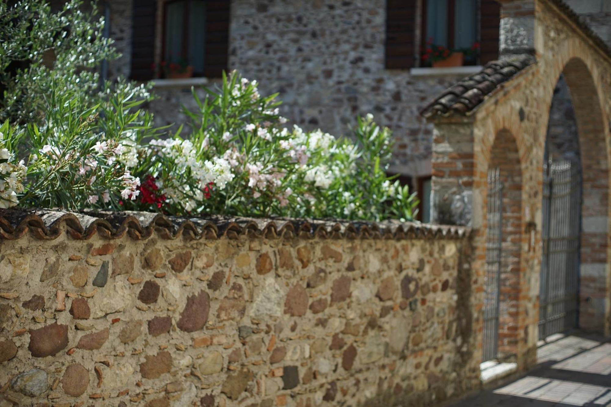 Ca Nova Agriturismo Castellaro  Exterior photo